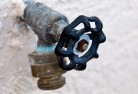 The Pinesbackflow-prevention-4old.jpg; ?>